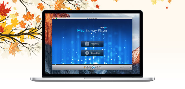 Macgo Newsletter 2015